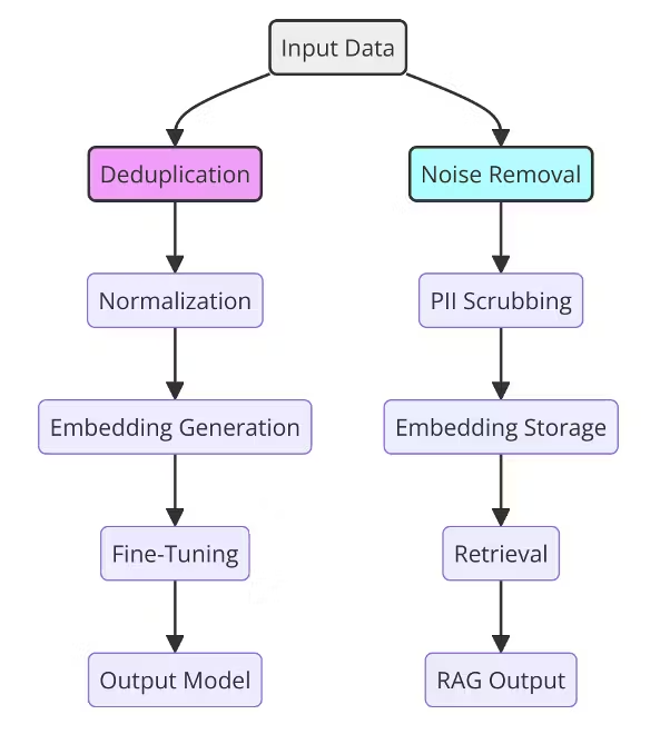 Input Data model showing flow of output and rag